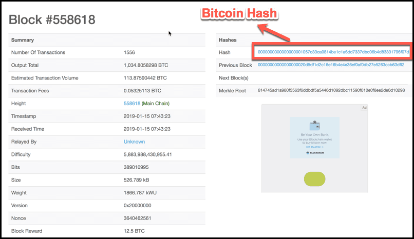 bitcoin hash