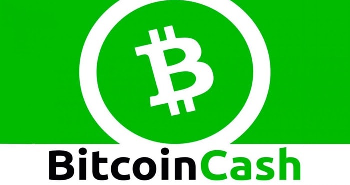 Best Bitcoin Cash Wallets To Store Your BCH Tokens in 2021