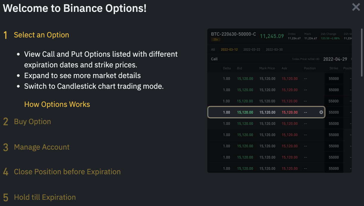 binance Shorting Bitcoin with Options contracts